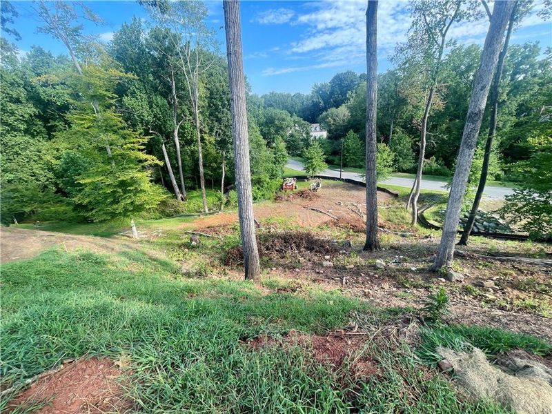 Natural landscape and outdoor views near  in Atlanta (Image 4).