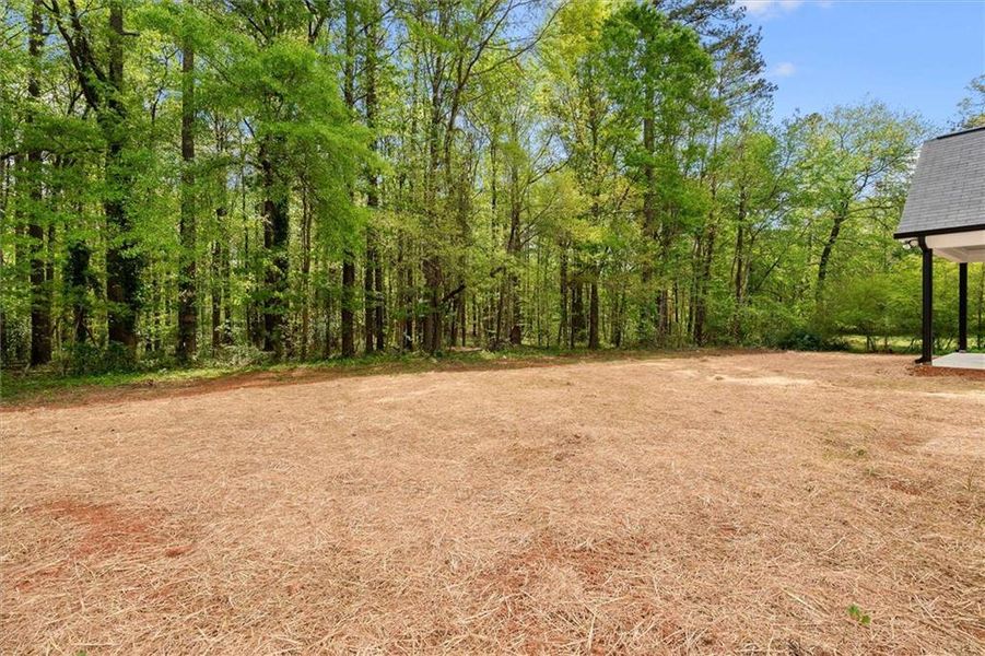 Natural landscape and outdoor views near  in Villa Rica (Image 43).