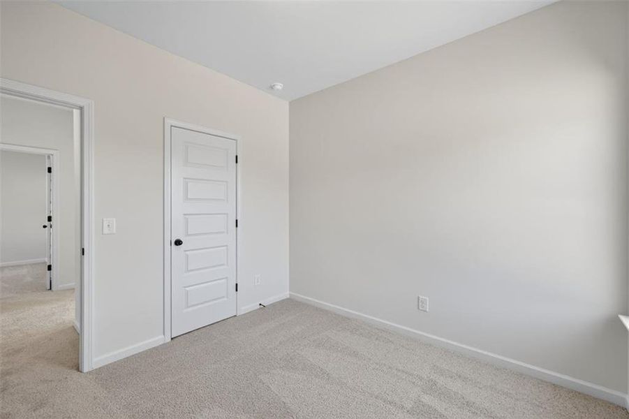 Spacious, unfurnished interior of a new home in Kingston Park, Kingston (Image 36).