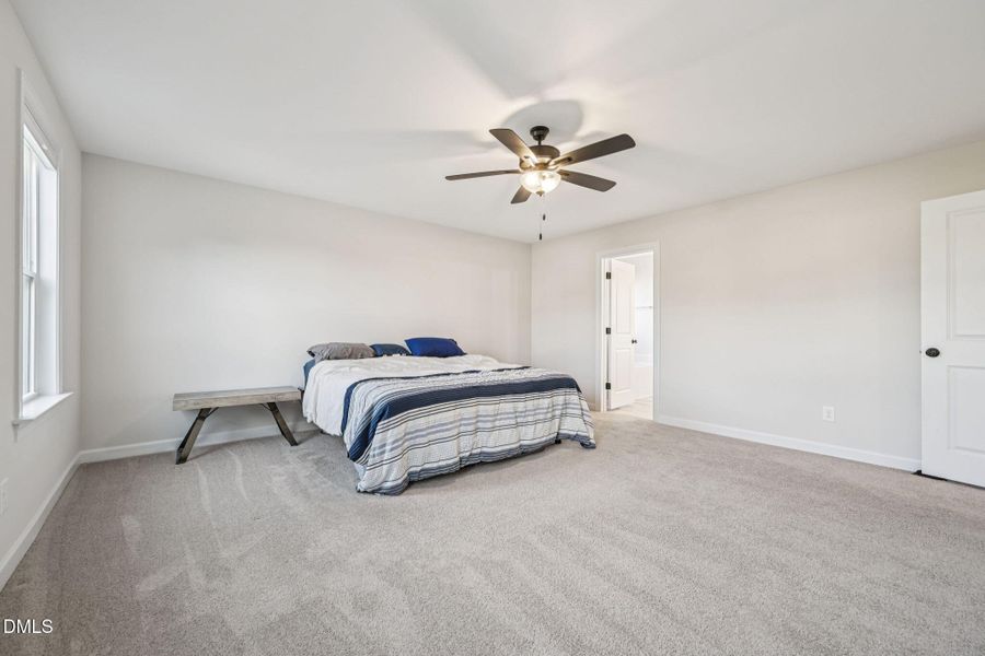 32-web-or-mls-Fescue-S1111-032