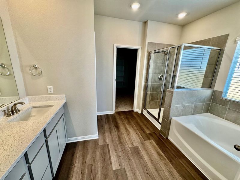Full bathroom featuring vanity, a shower stall, a bath, and dark wood-style floors Full bathroom featuring vanity, a shower stall, a bath, and dark wood-style floors