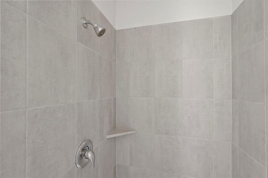 Interior details with tiled shower