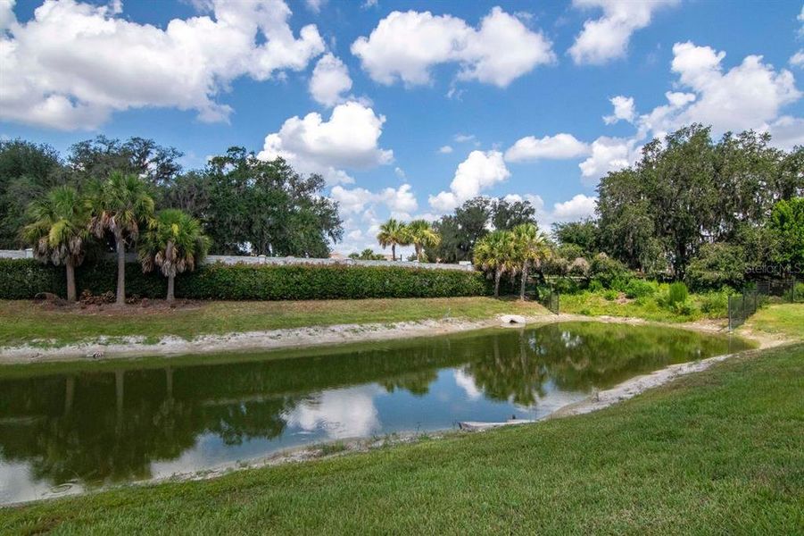Natural landscape and outdoor views near River's Edge in Wesley Chapel (Image 68).