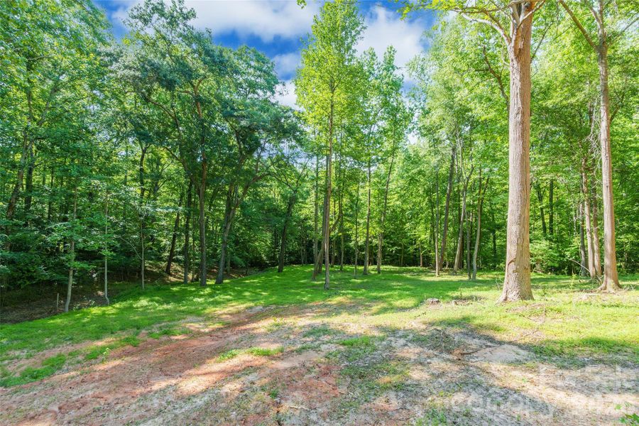 Natural landscape and outdoor views near in Clover (Image 44). Natural landscape and outdoor views near in Clover (Image 44).
