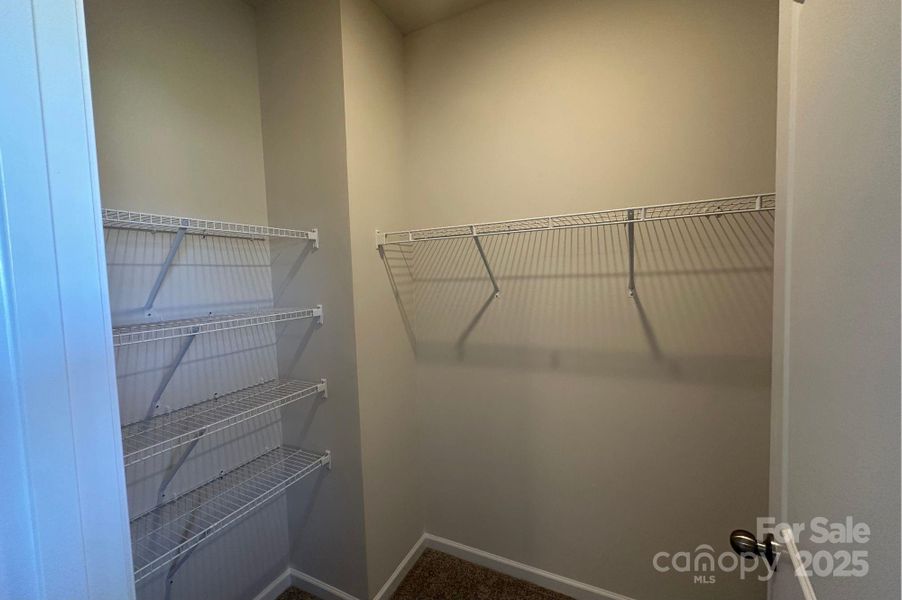 Suwanee Primary Closet