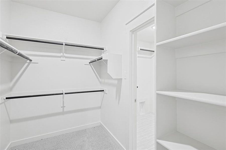 Spacious closet featuring carpet flooring