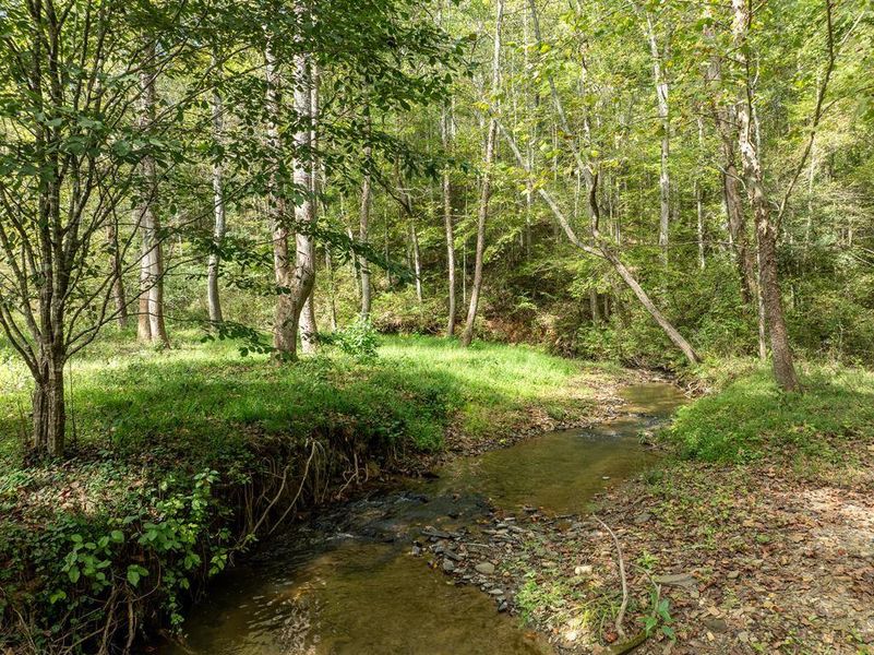 Natural landscape and outdoor views near  in Ellijay (Image 51).