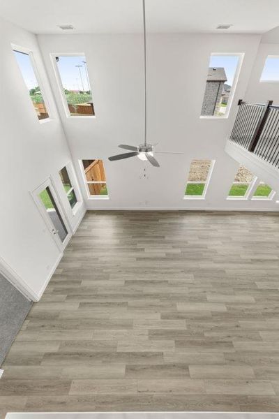 17. 3018 Wallis - Family (5) 17. 3018 Wallis - Family (5)