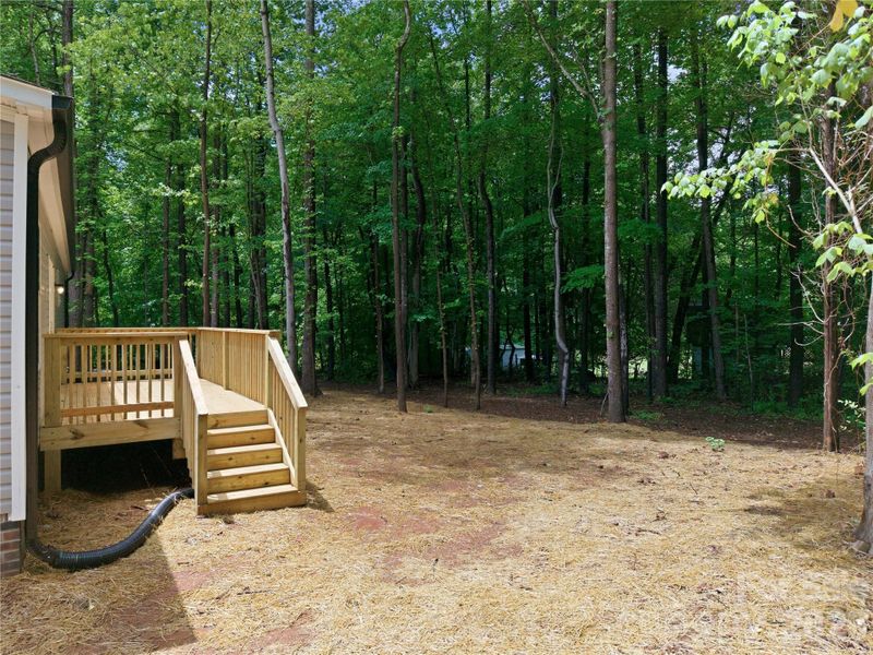Exterior details and patio area of a home in , Lincolnton (Image 22).