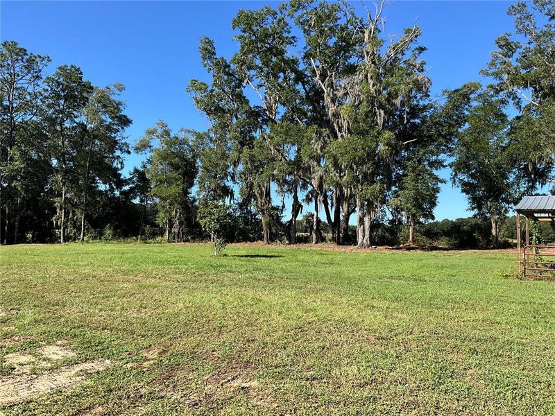 Exterior details and patio area of a home in , Ocala (Image 2). Exterior details and patio area of a home in , Ocala (Image 2).