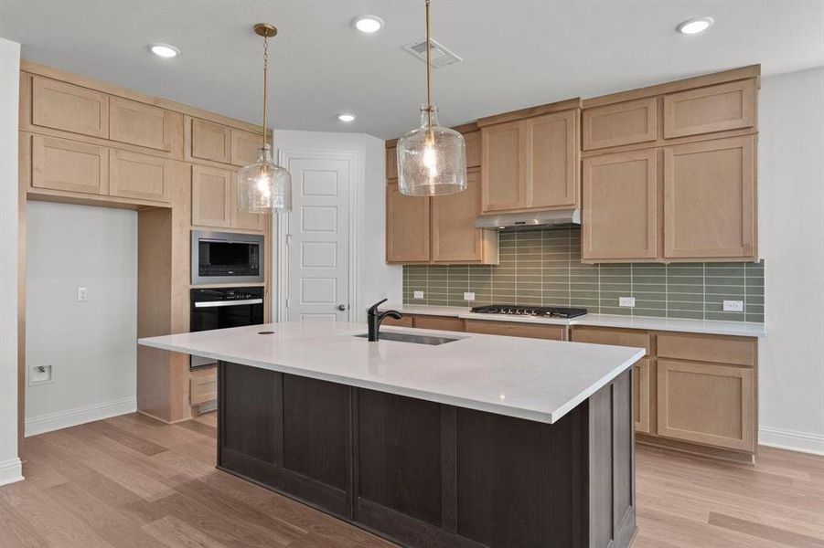 DAL_Painted Tree_Mineola_3916 Attwater Street (8)