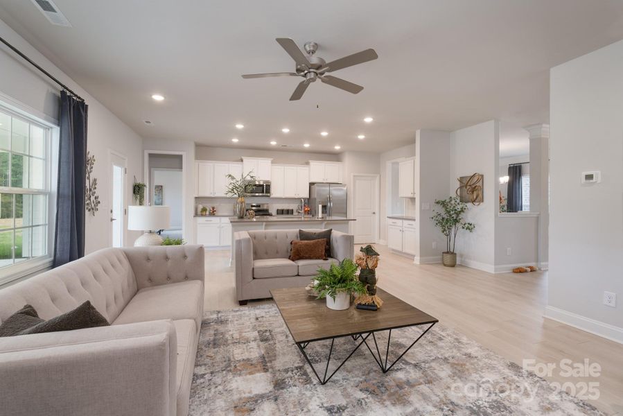 Family Room - Photo Representation