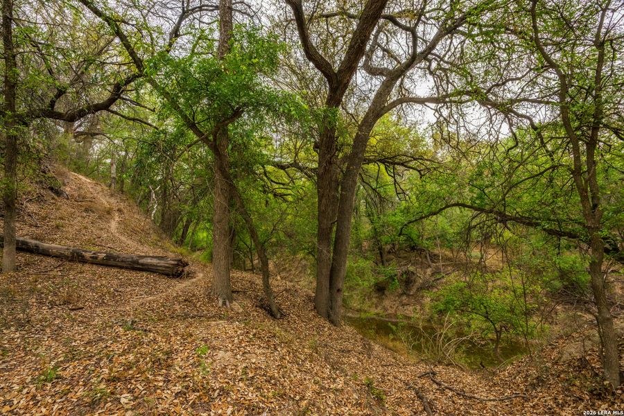Natural landscape and outdoor views near in Crystal City (Image 23). Natural landscape and outdoor views near in Crystal City (Image 23).