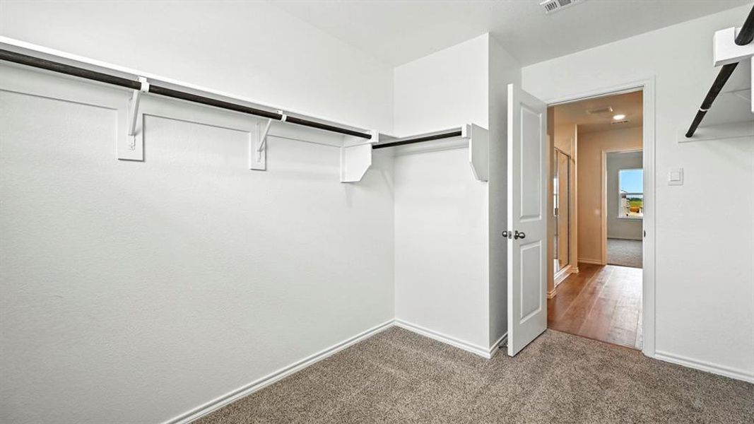 Carpeted closet with built-in shelving and clothing rods