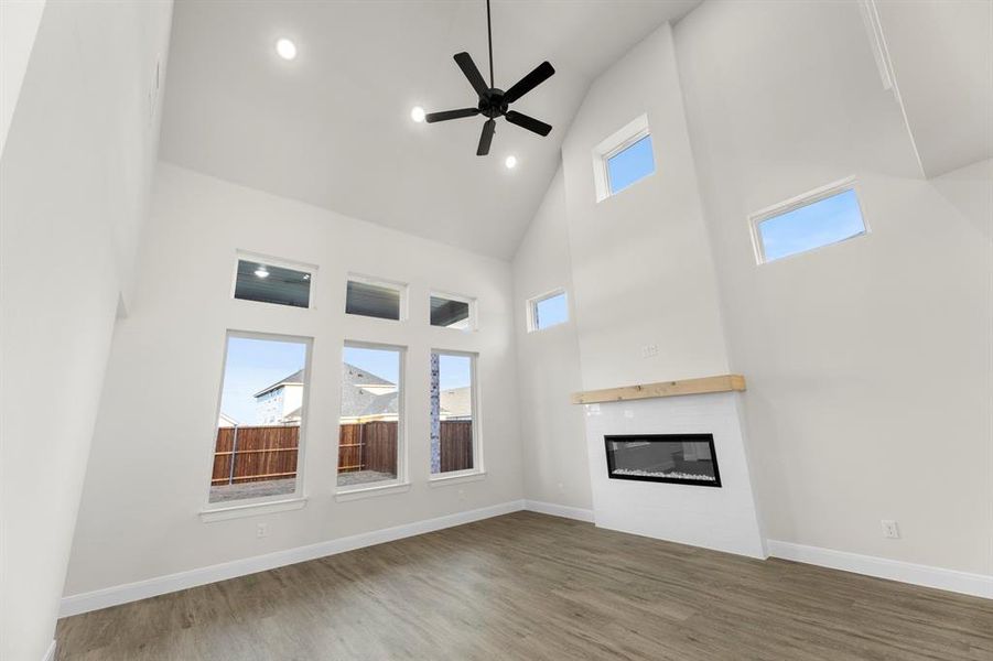 1617 Yorkie - Family