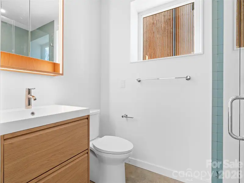 Lower level bathroom