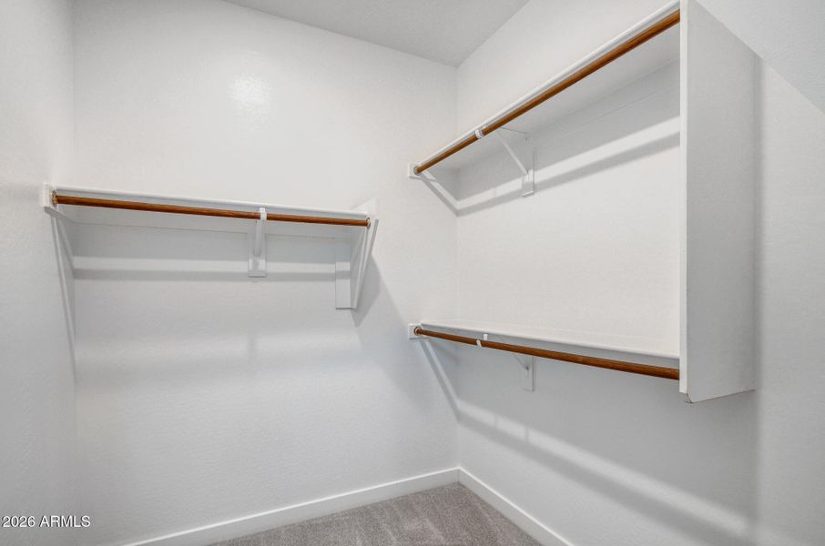 Owners Walk in Closet