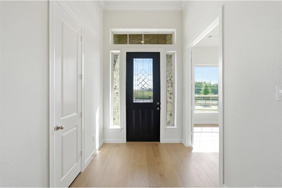 Entryway featuring a dark paneled door with decorative glass, side lights, and transom windows