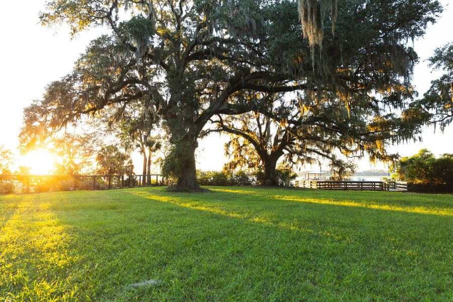 Natural landscape and outdoor views near  in Charleston (Image 11).