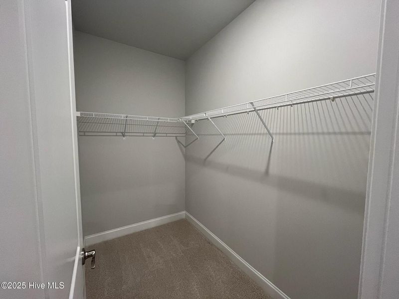 Spacious, unfurnished interior of a new home in Palmetto Creek, Bolivia (Image 22).