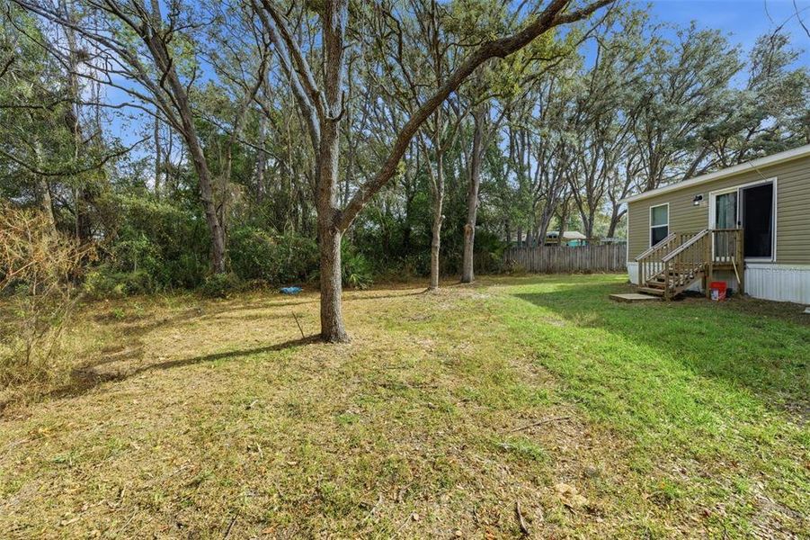 Natural landscape and outdoor views near in Homosassa (Image 33). Natural landscape and outdoor views near in Homosassa (Image 33).