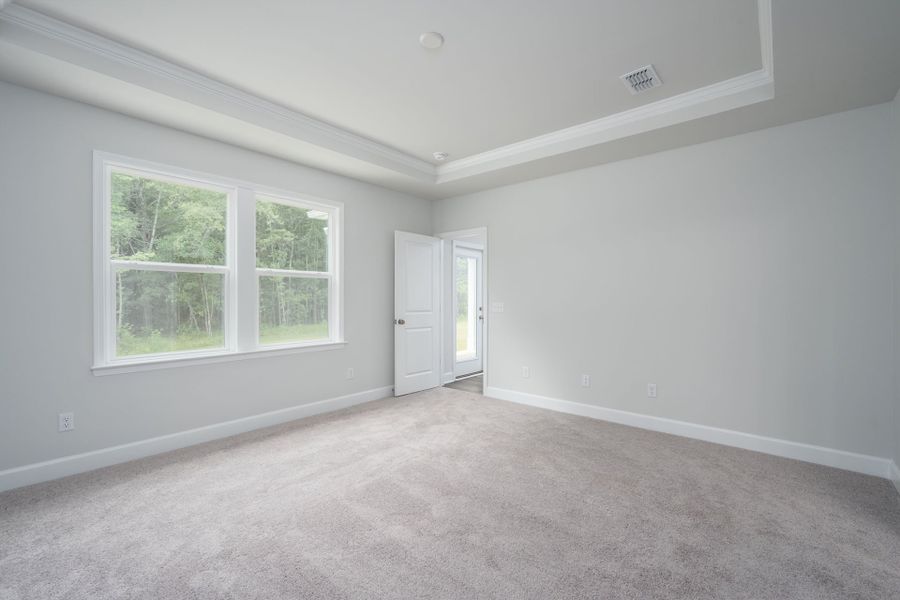 Retreat to the owner's suite with tray ceiling detail. Retreat to the owner's suite with tray ceiling detail.