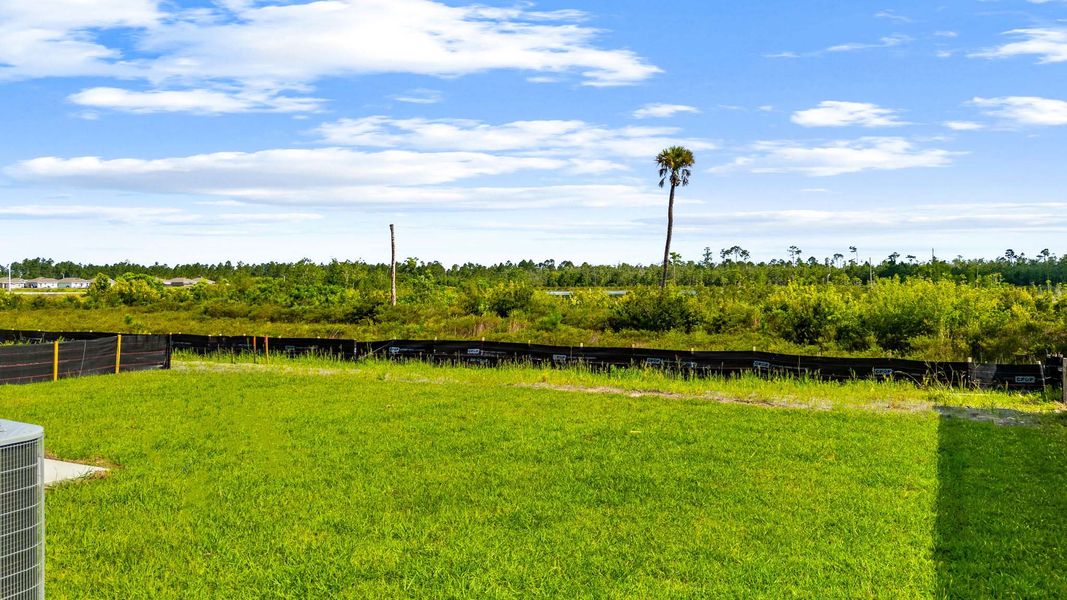 Natural landscape and outdoor views near Morningside in Panama City (Image 28).