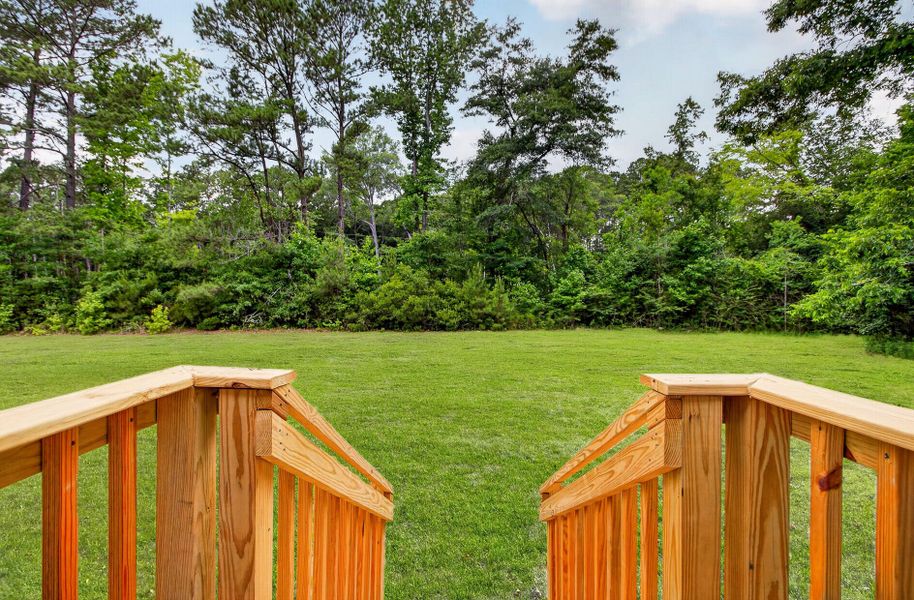 Natural landscape and outdoor views near  in Moncks Corner (Image 26).