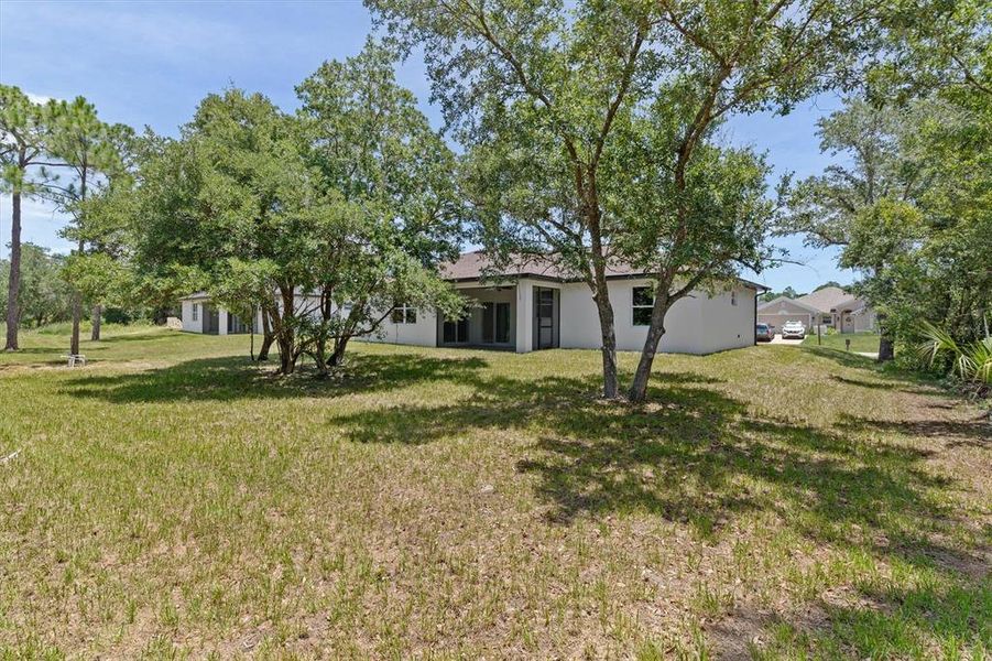 Natural landscape and outdoor views near in North Port (Image 33). Natural landscape and outdoor views near in North Port (Image 33).