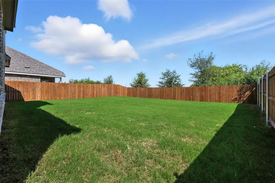 View of fenced backyard
