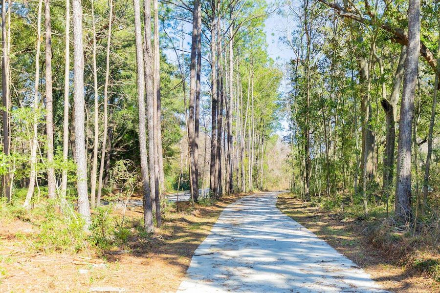 Natural landscape and outdoor views near  in Johns Island (Image 63).