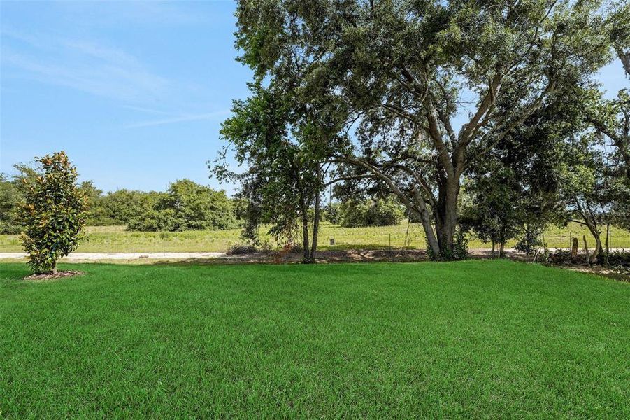 Natural landscape and outdoor views near Avalon Woods in Winter Garden (Image 38). Natural landscape and outdoor views near Avalon Woods in Winter Garden (Image 38).