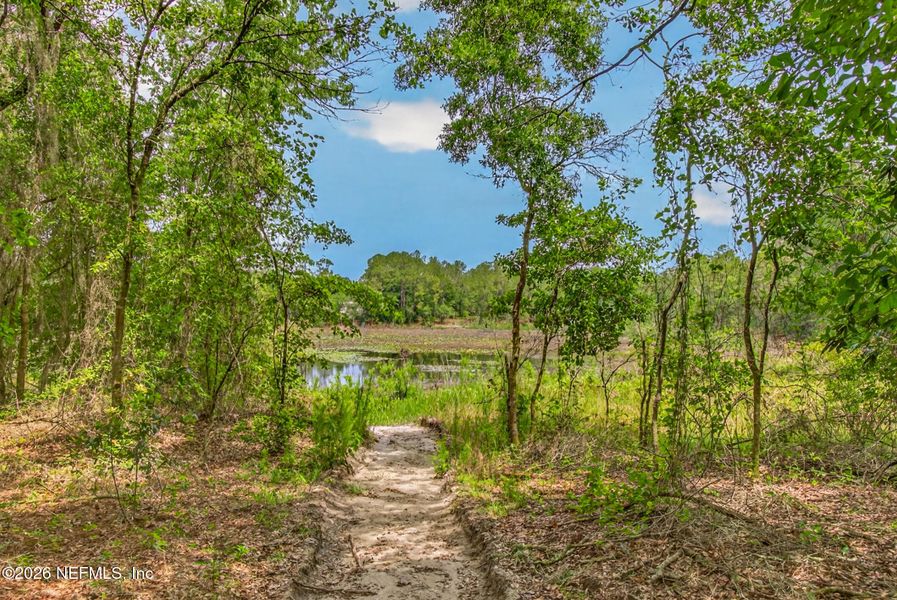 Natural landscape and outdoor views near in Keystone Heights (Image 35). Natural landscape and outdoor views near in Keystone Heights (Image 35).