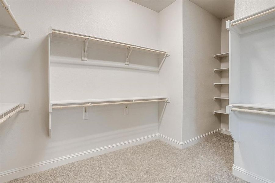 Walk in closet featuring carpet flooring