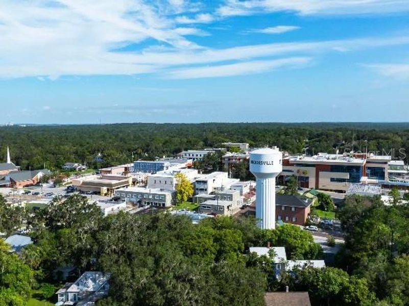 Image 18 of a home in Benton Hills.