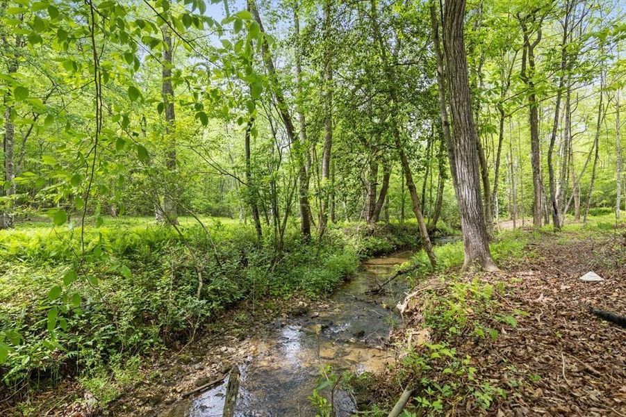Natural landscape and outdoor views near in Blue Ridge (Image 47). Natural landscape and outdoor views near in Blue Ridge (Image 47).