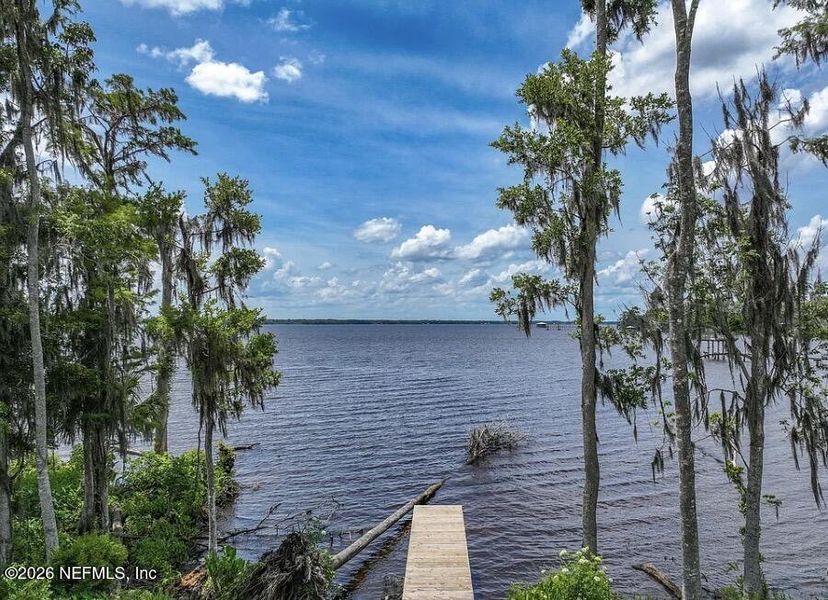 Natural landscape and outdoor views near  in East Palatka (Image 47).