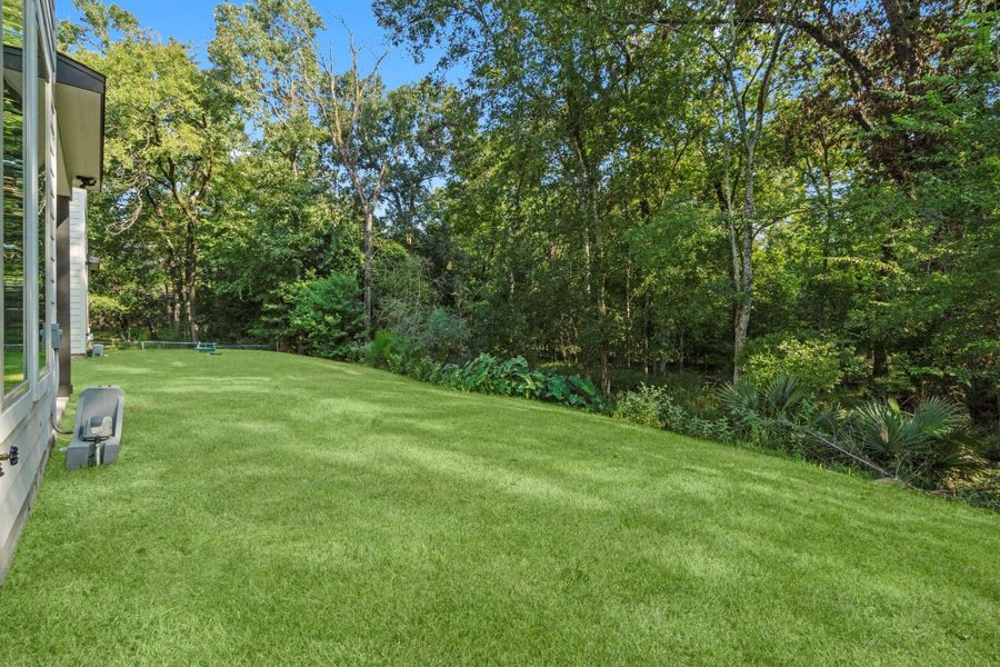 Grass enhanced by photographers.