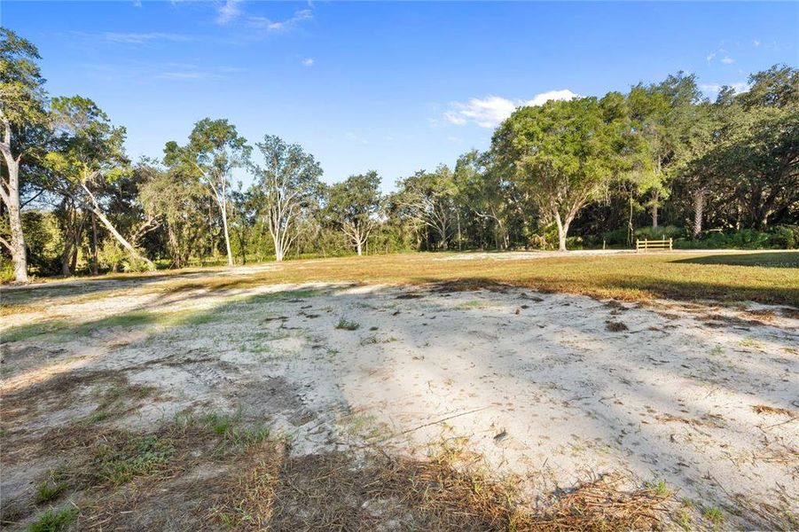 Natural landscape and outdoor views near  in Lake Panasoffkee (Image 42).