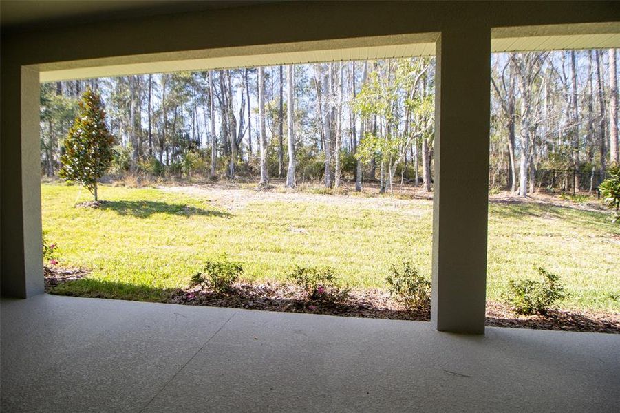 Exterior details and patio area of a home in Southern Hills Plantation, Brooksville (Image 28).