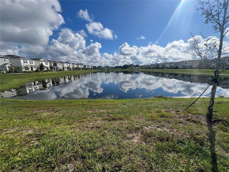 Natural landscape and outdoor views near Amelia Groves in St. Cloud (Image 26). Natural landscape and outdoor views near Amelia Groves in St. Cloud (Image 26).