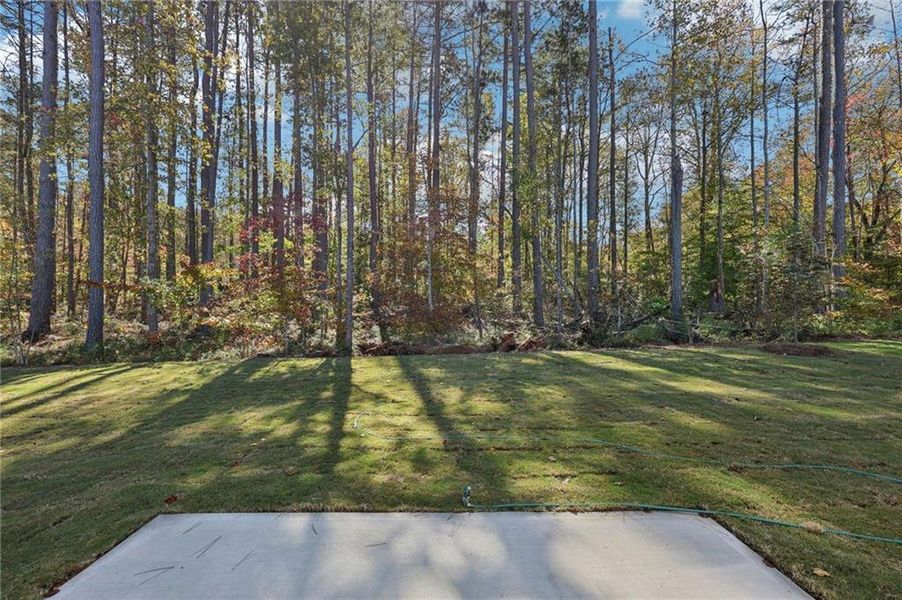 Natural landscape and outdoor views near The Oaks at Dawson in Dawsonville (Image 33).