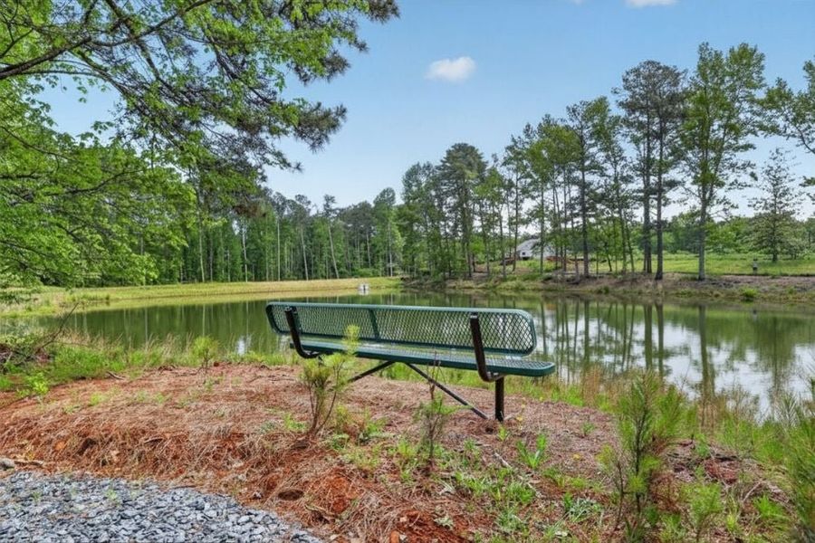 Natural landscape and outdoor views near Reserve at Hickory Walk in Kennesaw (Image 31).