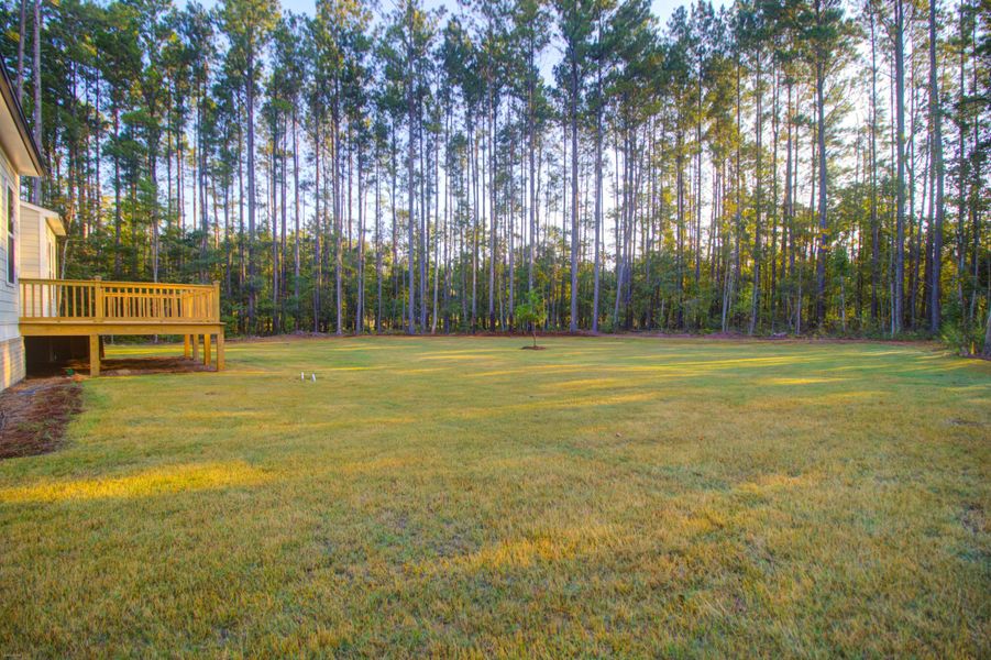 Natural landscape and outdoor views near in Moncks Corner (Image 46). Natural landscape and outdoor views near in Moncks Corner (Image 46).