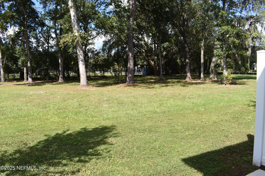 Natural landscape and outdoor views near Irongate Villas in Jacksonville (Image 43).