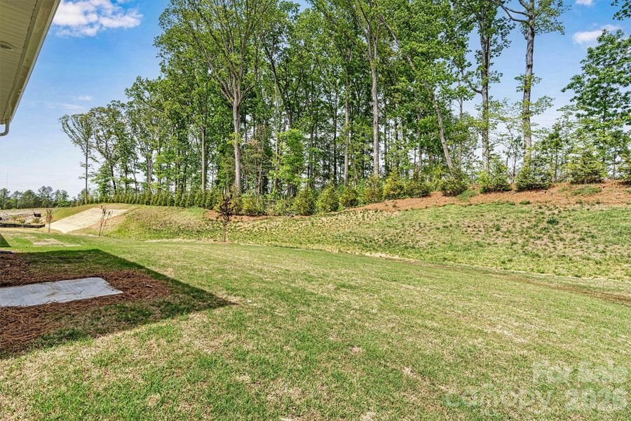 Natural landscape and outdoor views near Cresswind Charlotte in Charlotte (Image 41).