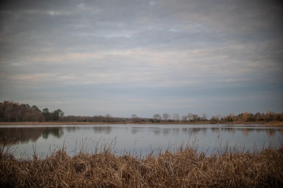 Natural landscape and outdoor views near in Dorchester (Image 34). Natural landscape and outdoor views near in Dorchester (Image 34).