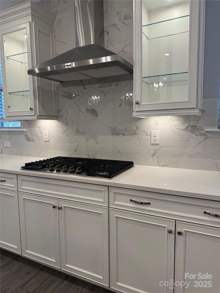 SS hood vent, gas cooktop, lighted accent cabinets and under cabinet lighting