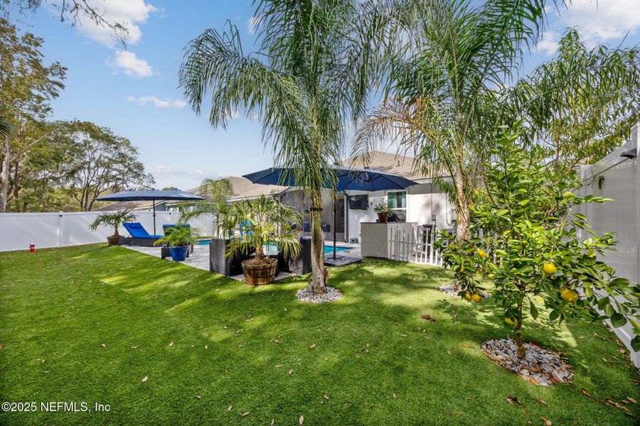 Exterior details and patio area of a home in Pecan Ridge, Jacksonville (Image 21).