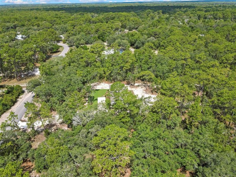 Natural landscape and outdoor views near  in Homosassa (Image 49).